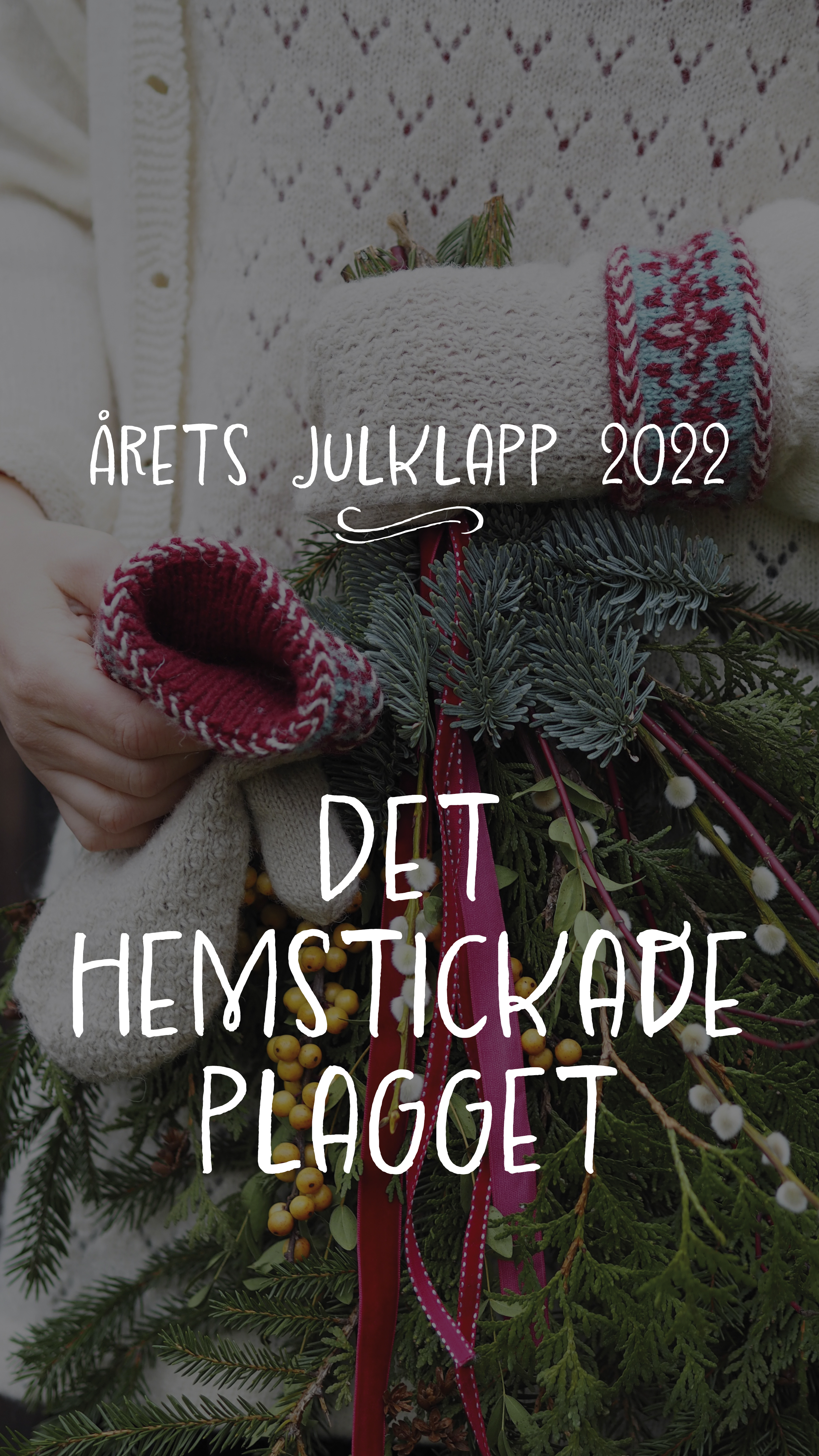 91869_julvanten-2019_02_kopiera