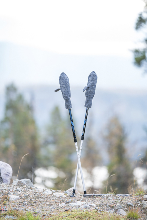 Ylletummisar - vantar