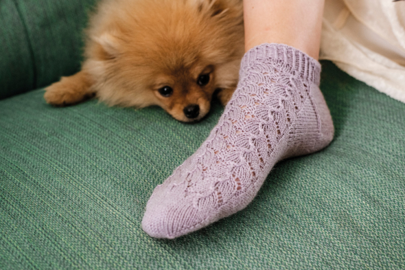 Kristyr - spetssocka