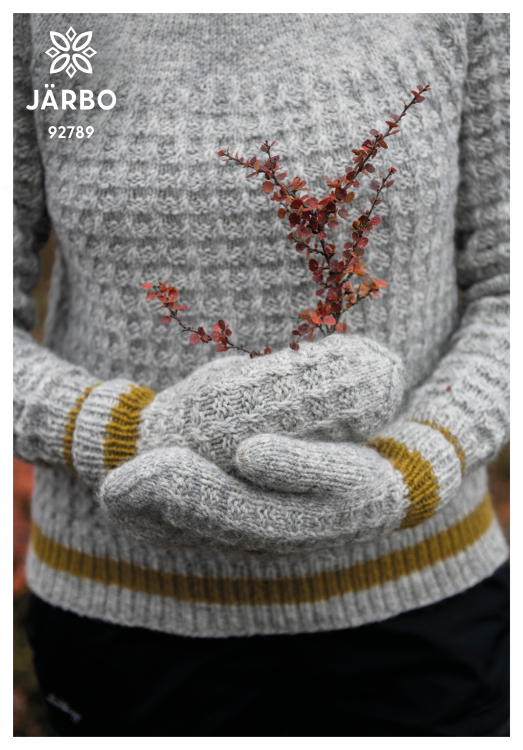 Glaciär – fodrade vantar