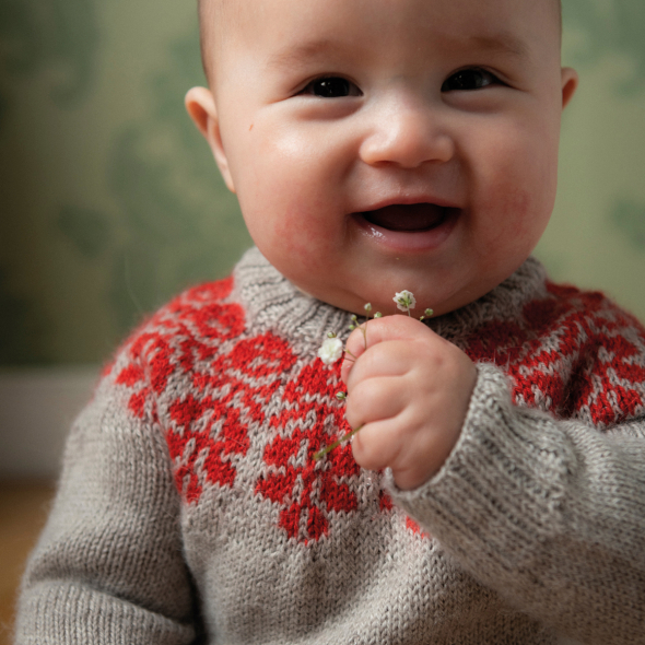 Gerbera - babytröja